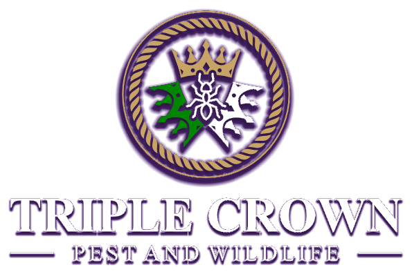 Triple Crown Pest and Wildlife crest logo